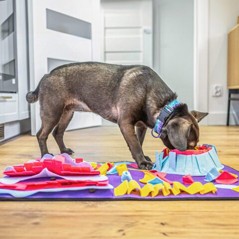 Alternative view of Mata węchowa dla psa edukacyjna duża 70x50 cm