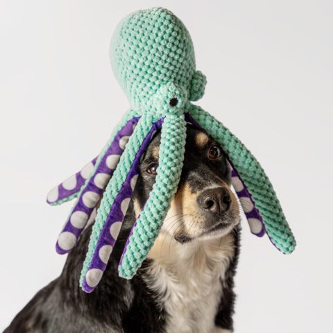 Alternative view of Pluszowa ośmiornica z piszczałką dla psa