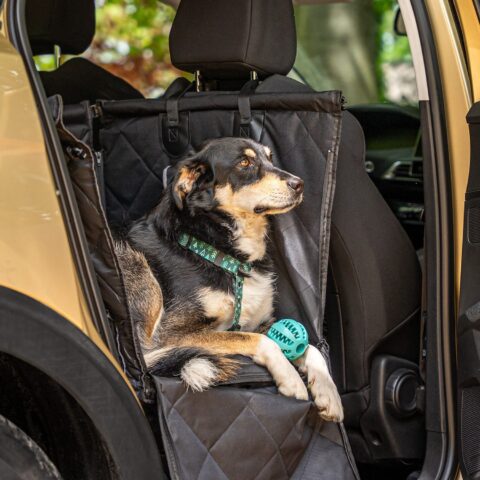 Alternative view of Czarny Fotelik Samochodowy Dla Psa Duży