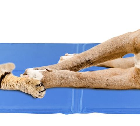 Alternative view of Żelowa mata chłodząca dla psów i kotów 96 x 81 cm