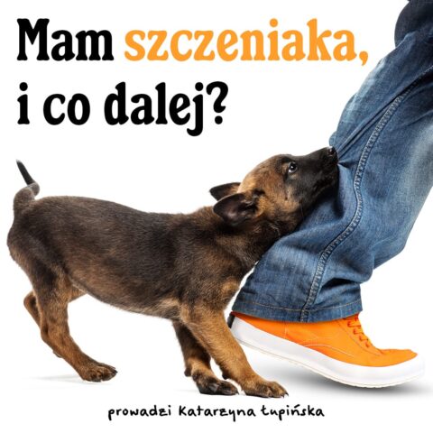 Mam szczeniaka i co dalej